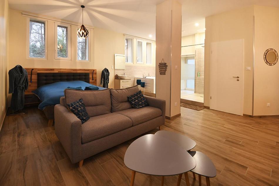 Appartamento Ravissant Loft Avec Jacuzzi Pour Séjours Détente Strasburgo