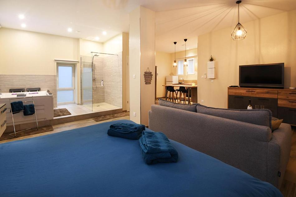 Ravissant Loft Avec Jacuzzi Pour Séjours Détente * Strasburgo