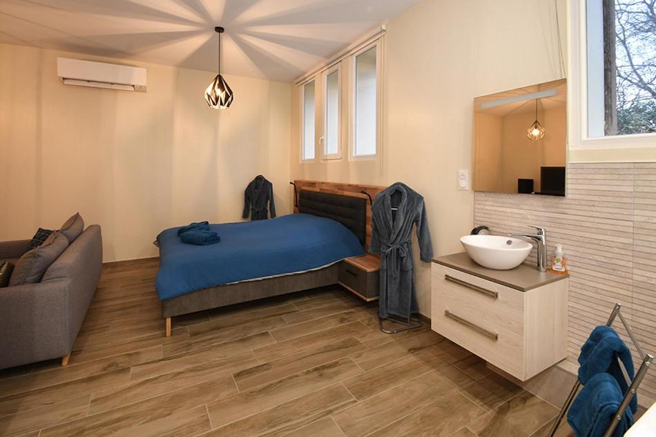 Ravissant Loft Avec Jacuzzi Pour Séjours Détente * Strasbourg