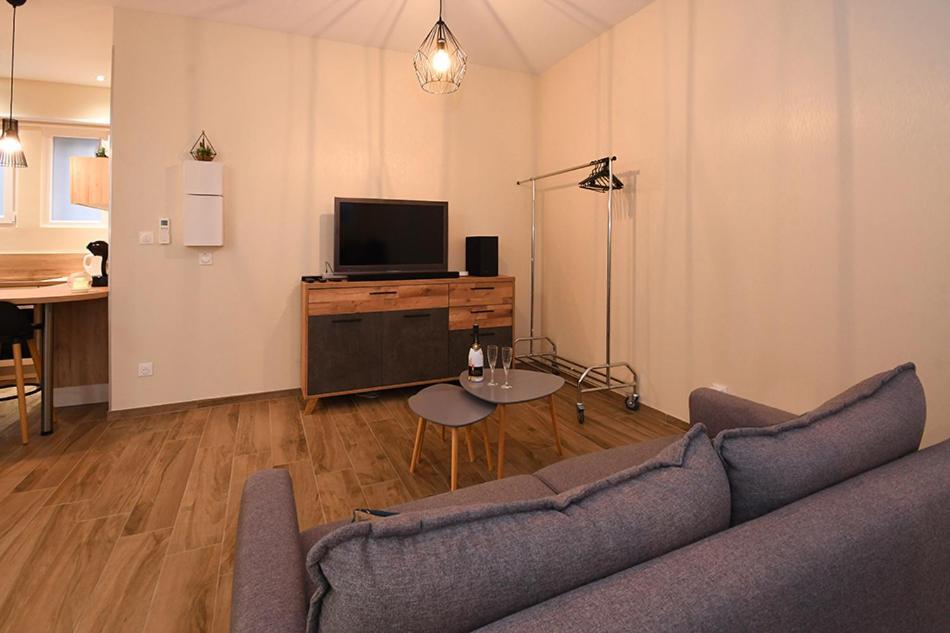 Ravissant Loft Avec Jacuzzi Pour Séjours Détente Appartement Strasbourg